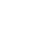 Feature icon 2